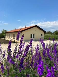 a house with purple flowers in front of it at Villa Alba in Ezerets