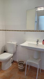 a bathroom with a toilet and a sink and a mirror at Le Clos du Perche in Boissy-lès-Perche