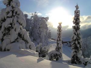 Το Bed & Breakfast La Val τον χειμώνα