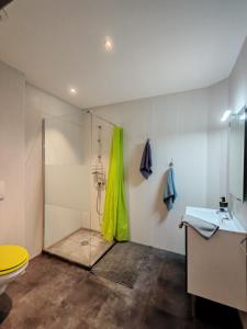 a bathroom with a shower and a toilet and a sink at Gites du Rioul in Les Estables