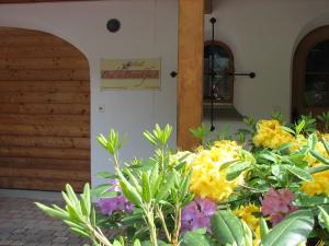 Κήπος έξω από το Bed & Breakfast La Val