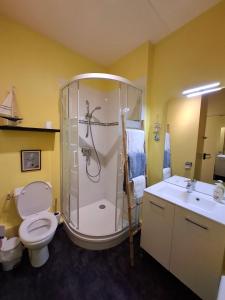 a bathroom with a shower and a toilet and a sink at Le Cosy in Mers-les-Bains