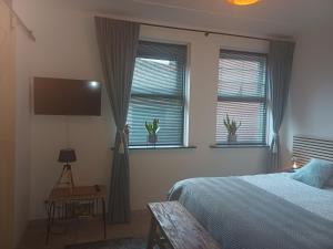 a bedroom with a bed and two windows and a tv at De Allerhof in Hattem