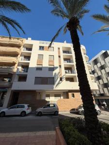 a palm tree and two cars parked in front of a building at Casa la Pluma Torrevieja in Torrevieja