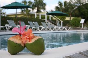 Green Turtle Cay的住宿－綠海龜俱樂部濱海度假酒店，相簿中的一張相片