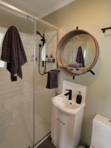 a bathroom with a shower and a sink and a mirror at Leven Studio - StayTiny at Ulverstone in Ulverstone