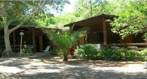 a house with a palm tree in front of it at Chalet Pineta Mare in Foce Varano