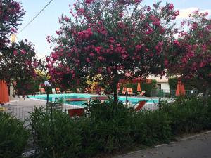 a tree with pink flowers in front of a swimming pool at Chalet Pineta Mare in Foce Varano