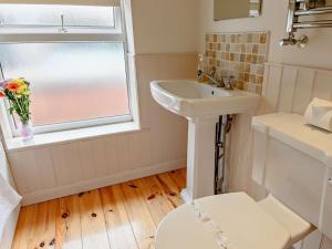 a bathroom with a sink and a toilet and a window at 3 Bed in Norwich oc-47835 in Haddiscoe +9 photos