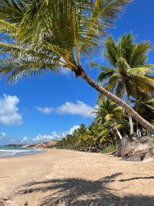 a beach with palm trees and the ocean at Apartmento em Carapibus in Conde