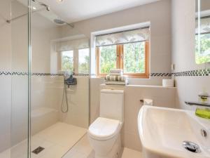 a bathroom with a toilet and a shower and a sink at 1 Bed in Etchingham oc-78940 in Hawkhurst