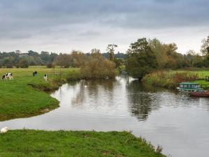 a river with cows and boats in a field at 2 Bed in Colchester oc-42650 in Dedham +6 photos