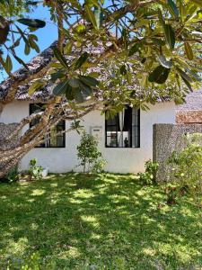 a building with a tree in front of a yard at Flower House in Malindi