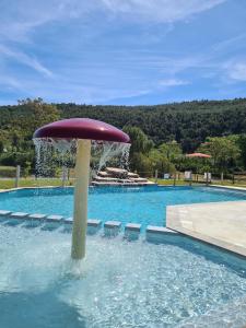 a fountain in a pool with a frisbee in the water at Flower Camping de L Olivigne in Bize-Minervois