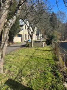 a tree in the grass in front of a house at Maison Aline in Hotton