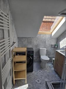 a bathroom with a washing machine and a toilet at La casa morarului in Cârțișoara +48 photos