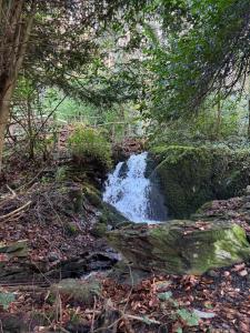 a small waterfall in the middle of a forest at 1 Bron Rhedyn Holiday Cottage in Betws-y-coed