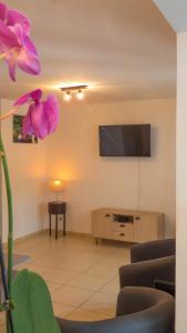 a living room with a tv and a purple flower at Les Cannes Trankil in Saint-Louis