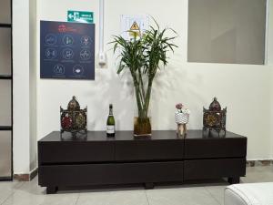 a black dresser with a plant and two bottles of wine at Tu Hotel Chía in Chía
