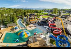 an aerial view of a water park with a water slide at Apartamenty u Petuski z Jacuzzi in Szaflary