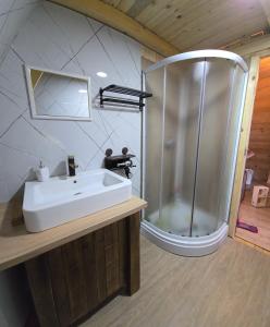 a bathroom with a shower and a white sink at Mountain View 2 in Tjentište
