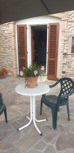 a table and a chair and a potted plant on a patio at Bracchi's room franciacorta in Cazzago San Martino