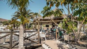 a pavilion with chairs and palm trees on a beach at BLUESEA Alyssa Suite Hotel in Playa Blanca