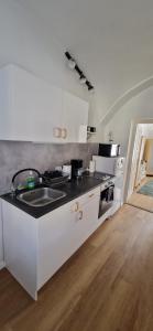 a kitchen with a sink and a counter top at GOLD 3 in Sopron