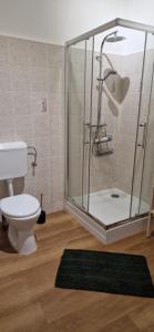 a bathroom with a shower with a toilet and a rug at GOLD 3 in Sopron