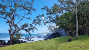 a grassy hill with trees and the ocean at Villa Horizon Volcan in Saint-Philippe