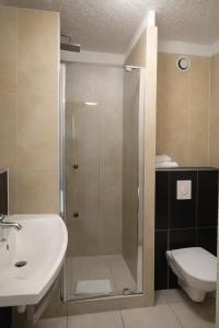 a bathroom with a shower and a sink and a toilet at Enzo Hôtels Diane - Logis Amnéville in Amnéville
