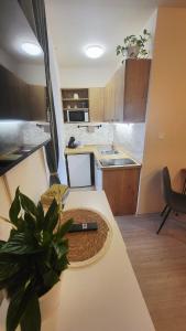 a small kitchen with a table with a plant on it at Downtown Boho Botanico in Brno