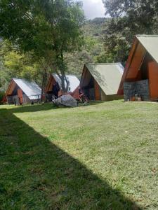 a group of tents in a field with grass at Lucmabamba Cabaña de los Duendes in Sahuayacu