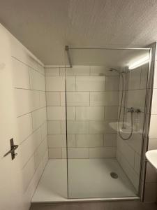 a shower with a glass door in a bathroom at Flowerpot Apartment in Unterseen