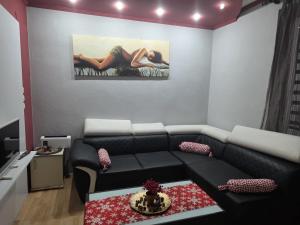 a living room with a black couch and a painting at MBM Apartman in Bitola