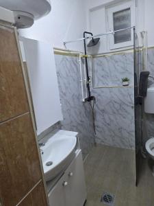 a bathroom with a sink and a shower at MBM Apartman in Bitola