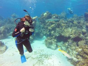 Una mujer está nadando en el agua cerca de un arrecife de coral. en Green Turtle Club Resort & Marina, en Cayo Green Turtle