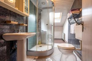 a bathroom with a shower and a toilet and a sink at Apartmaji Loretica in Most na Soči +48 photos