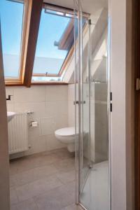 a bathroom with a toilet and a glass shower at Hotel zum Rednitzgrund in Stein +21 photos
