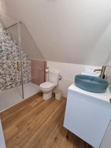 a bathroom with a toilet and a shower at Le perchoir de Pibri - Les apparts de Maddy in Meyssac +16 photos