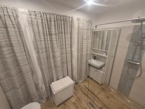 a bathroom with a shower and a toilet and a sink at Dein Zuhause am See in Millstatt +28 photos