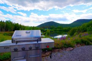 a grill sitting next to a body of water at Lakeside Gateway 4 Spa Sauna Firepit in Sainte Brigitte de Laval +47 photos