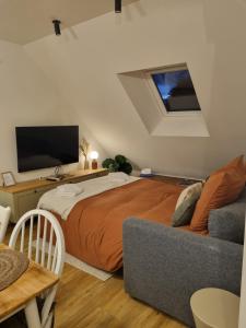 a bedroom with a bed and a couch and a tv at Le perchoir de Pibri - Les apparts de Maddy in Meyssac