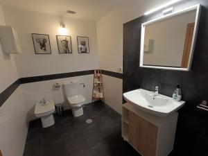 a bathroom with a sink and a toilet and a mirror at La Alameda Jardines del Prado -Amplio y con ascensor- in Talavera de la Reina +34 photos