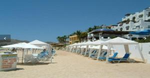a row of chairs and umbrellas on a beach at Owners Studio Suite, REQUEST DATES- see by Clay & Lisa in Cabo San Lucas