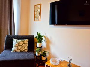 a living room with a couch and a tv on the wall at City Center Apartments - Moderna Brno Římské náměstí VI in Brno