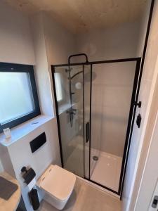 a bathroom with a shower and a toilet at Ferienhaus Sonnenwasser am Partwitzer See in Klein Partwitz +6 photos