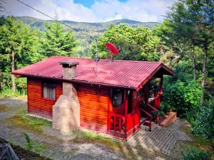 a small log cabin with a red roof at Las Bromelias Lodge in Paso Macho