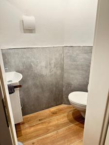a bathroom with a toilet and a sink at Altstadt Appartement in Ingolstadt