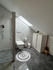 a attic bathroom with a toilet and a shower at Apartment D&A in Albbruck +24 photos